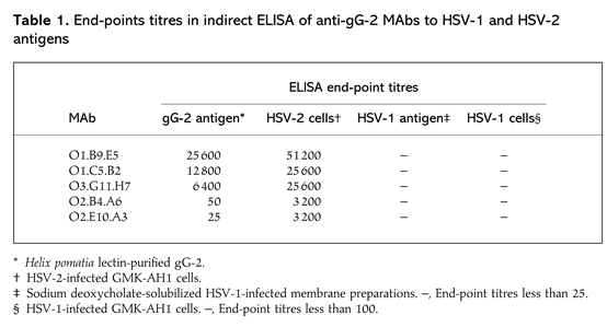 HSV感染的免疫应答与抗原选择策略