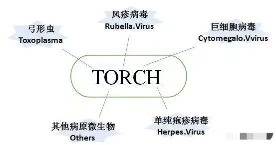 “优生四项” TORCH检测及原料将迎来爆发