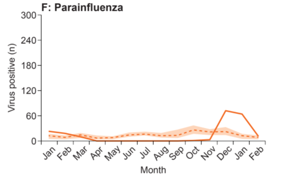 流行季——副流感病毒的流行趋势