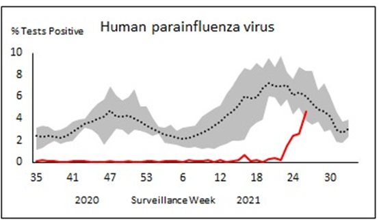 流行季——副流感病毒的流行趋势