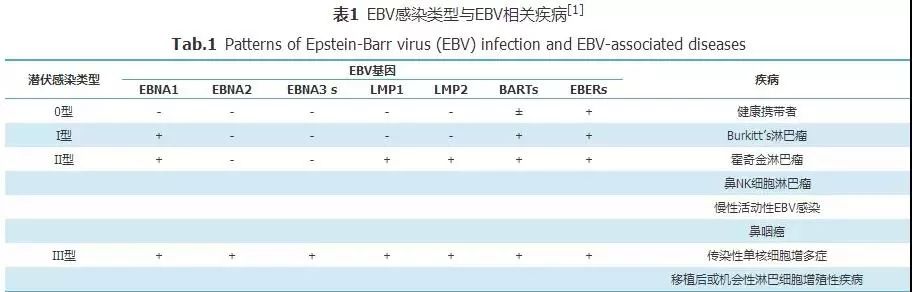 【专家共识】EB病毒感染实验室诊断及临床应用专家共识