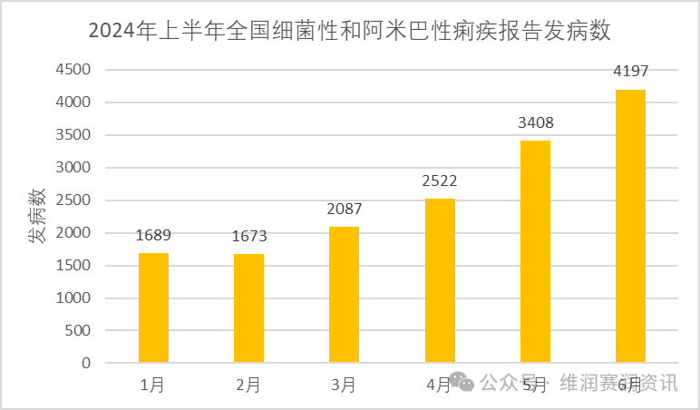 国家疾控：2024年上半年法定传染病疫情概况