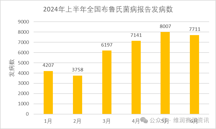 国家疾控：2024年上半年法定传染病疫情概况