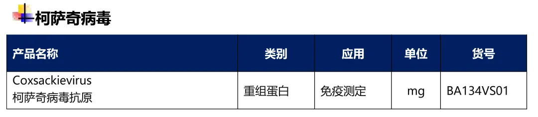 柯萨奇病毒与病毒性心肌炎