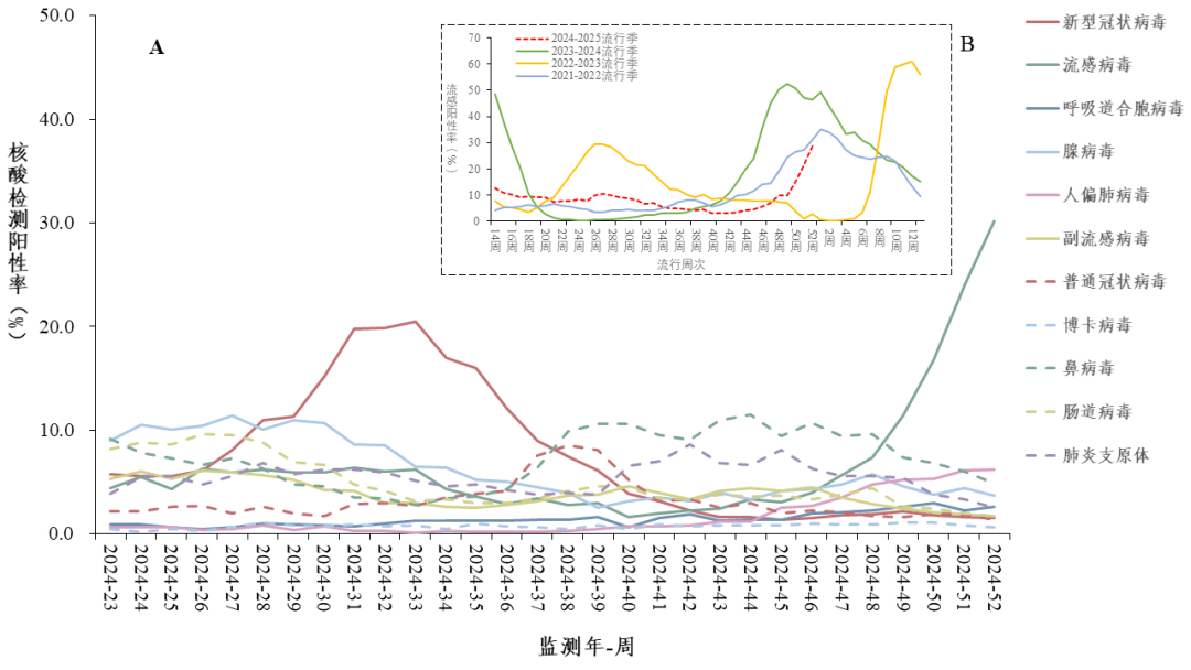 警惕！流感阳性率30.2%，儿童合胞病毒和人偏肺病毒阳性率攀升