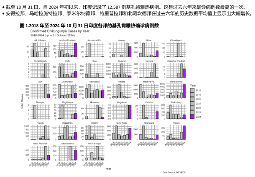 2024年全球基孔肯雅热简讯，巴西超41万疑似病例