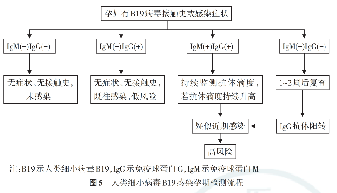 从孕前到新生，TORCH 检测为生育友好医院母婴健康赋能