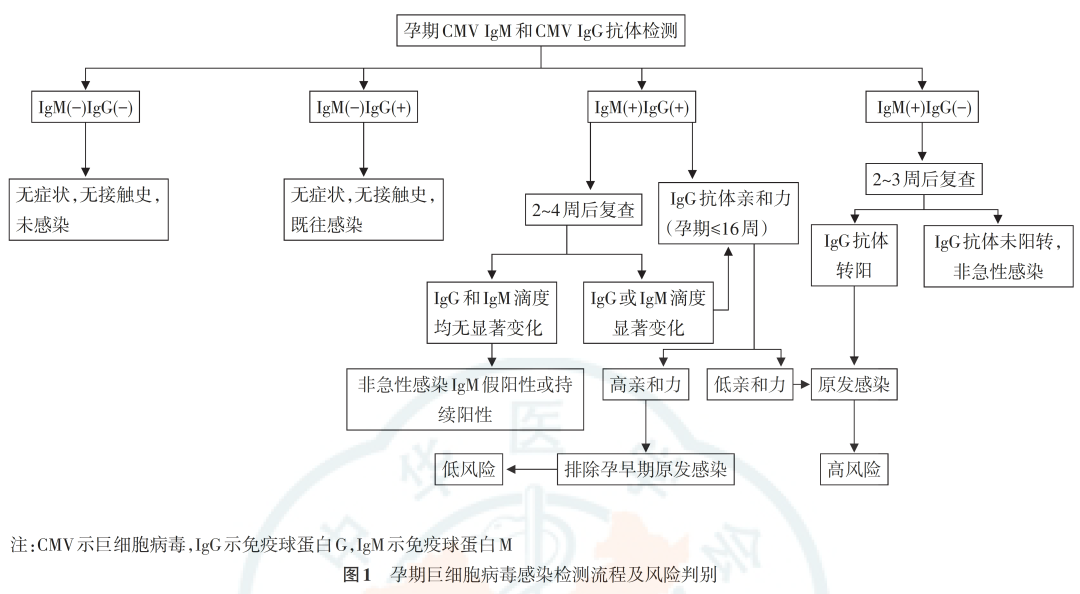 从孕前到新生，TORCH 检测为生育友好医院母婴健康赋能