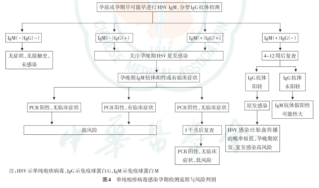 从孕前到新生，TORCH 检测为生育友好医院母婴健康赋能