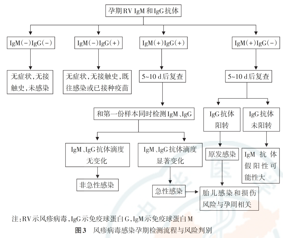 从孕前到新生，TORCH 检测为生育友好医院母婴健康赋能